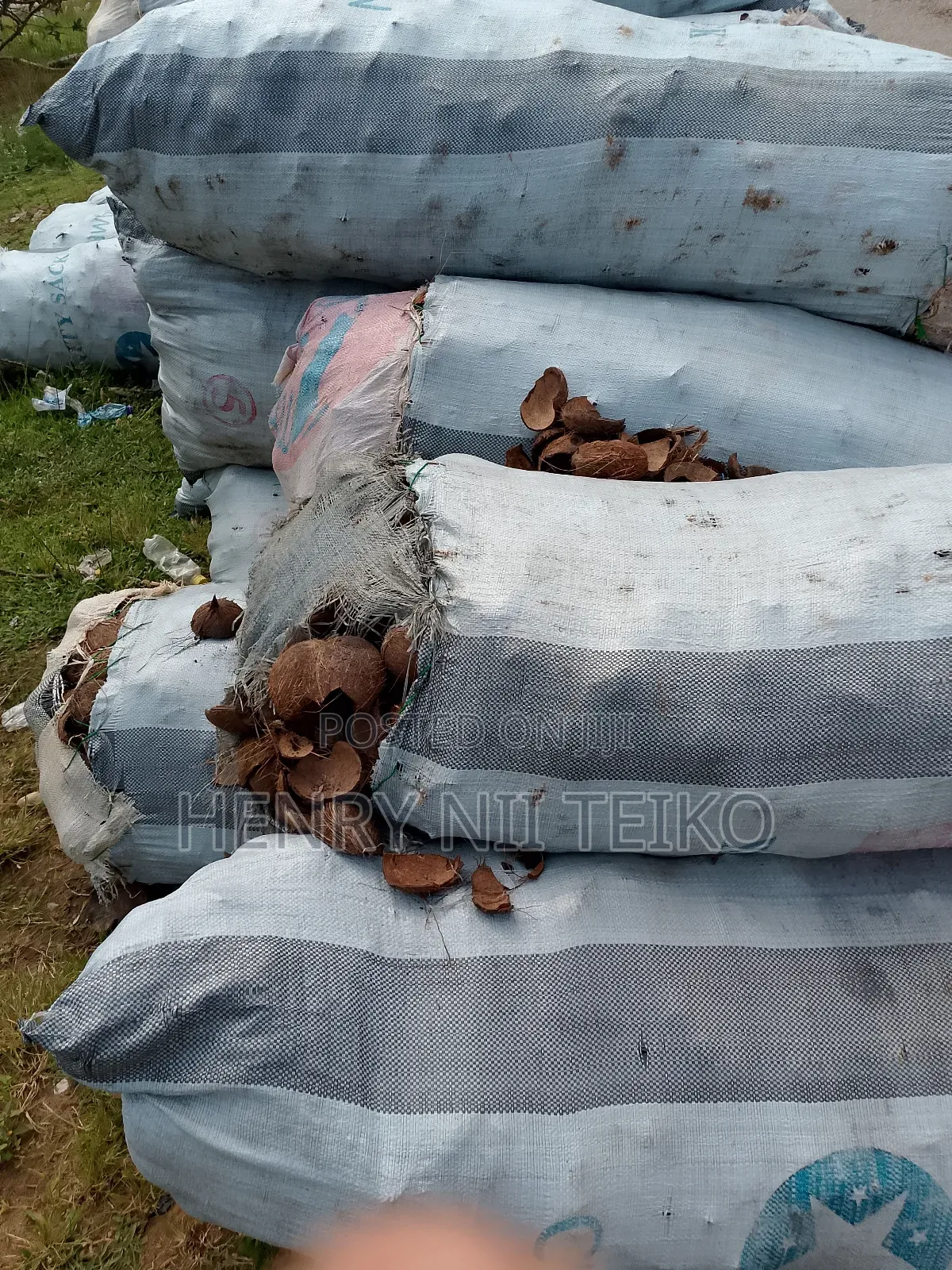 Raw, Uncarbonized Coconut Shells For Sale In Bulk