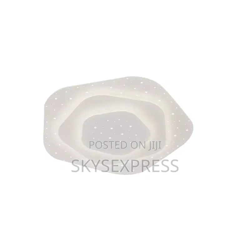 Nordic Slim Luxury Ceiling Light