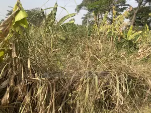 Land for Sale at Nkoransa Ampabame