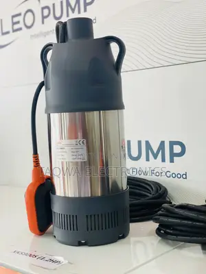 900 W Leo 1.2hp Water Pump