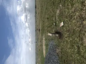 Prampram Lands__ Waterlogged Free and Legit for Sale