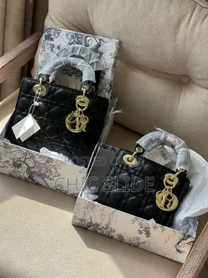 Latest Dior Hamdbag