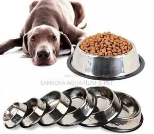 Quality Dog Bowl for All Types of Dogs