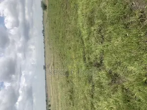 Prampram ~Lands= Akwaaba Park Fast Selling Site on Promotion