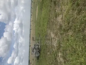 Prampram Lands: Own a Serviced Plot in the Fast-Growing Akwaaba Park