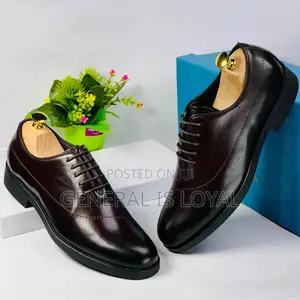 Steve Riot Executive Lace Coffee Men’S Shoe