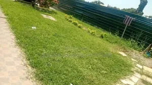 Macfirst Gardens, Landscaping, Lawn Maintenance, Lawn Mowing Edging
