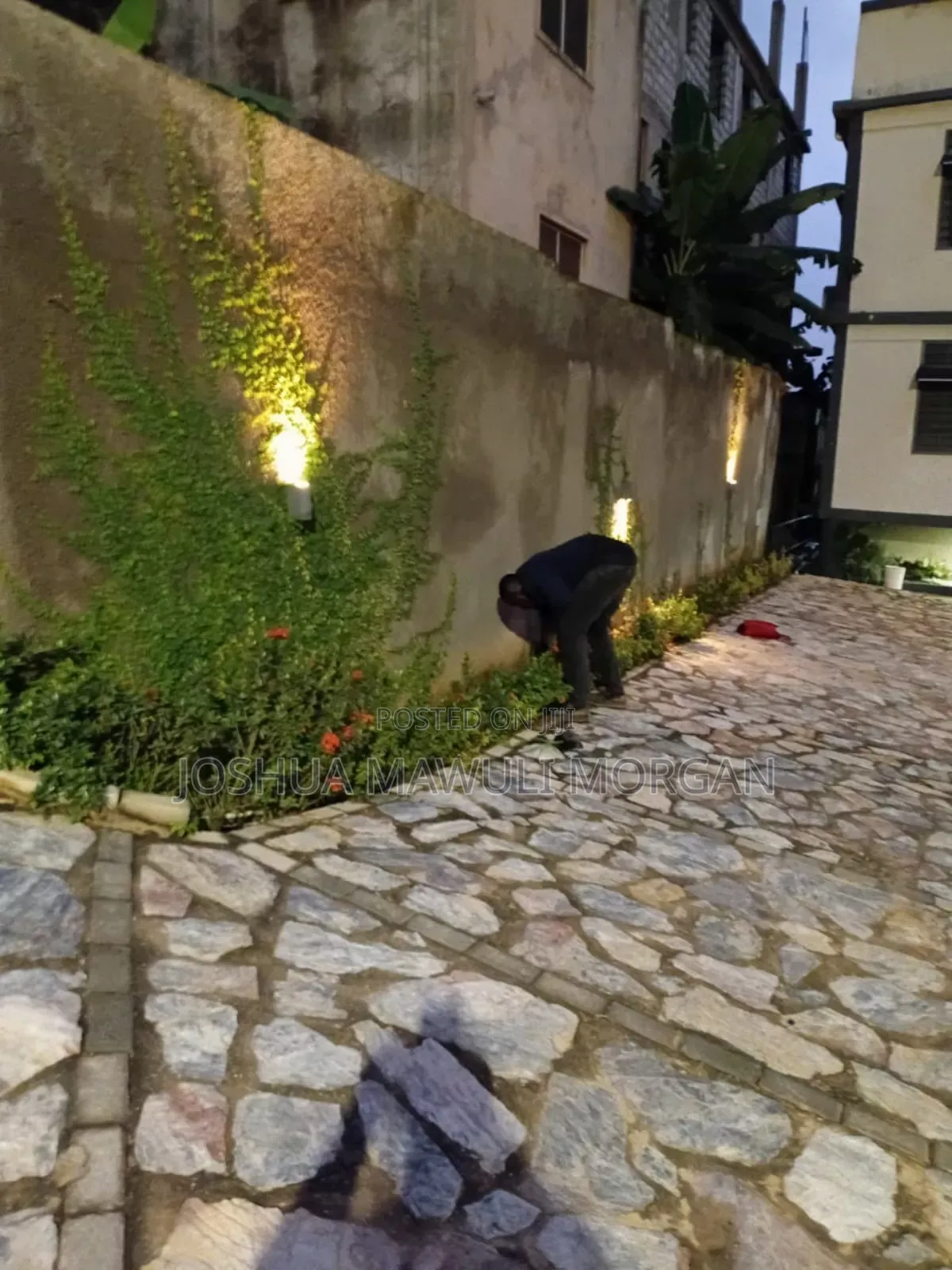 Macfirst Gardens, Landscaping, Lawn Maintenance, Lawn Mowing Edging