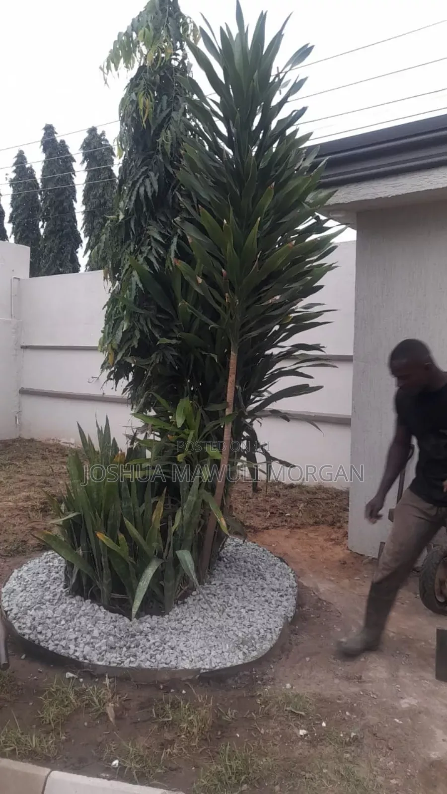 Macfirst Gardens, Landscaping, Lawn Maintenance, Lawn Mowing Edging