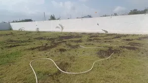 Landscaping Design, Lawn Pavement Mowing, Lawn Maintenance Re-Do