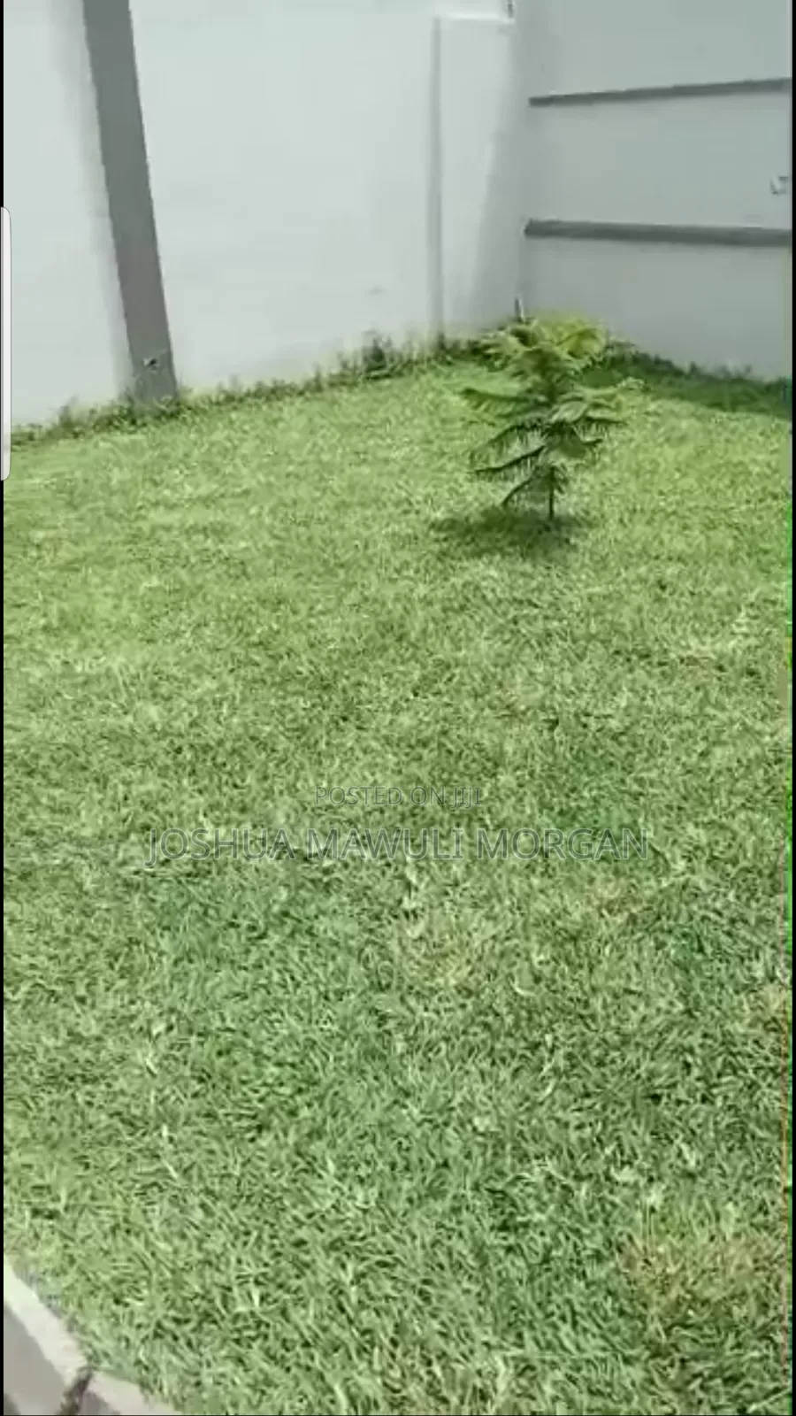 Landscaping Design, Lawn Pavement Mowing, Lawn Maintenance Re-Do