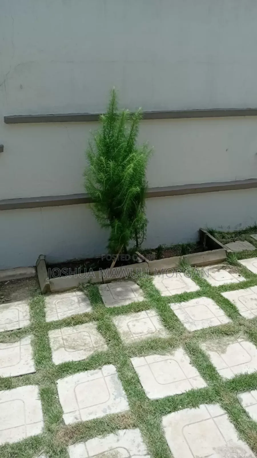 Landscaping Design, Lawn Pavement Mowing, Lawn Maintenance Re-Do