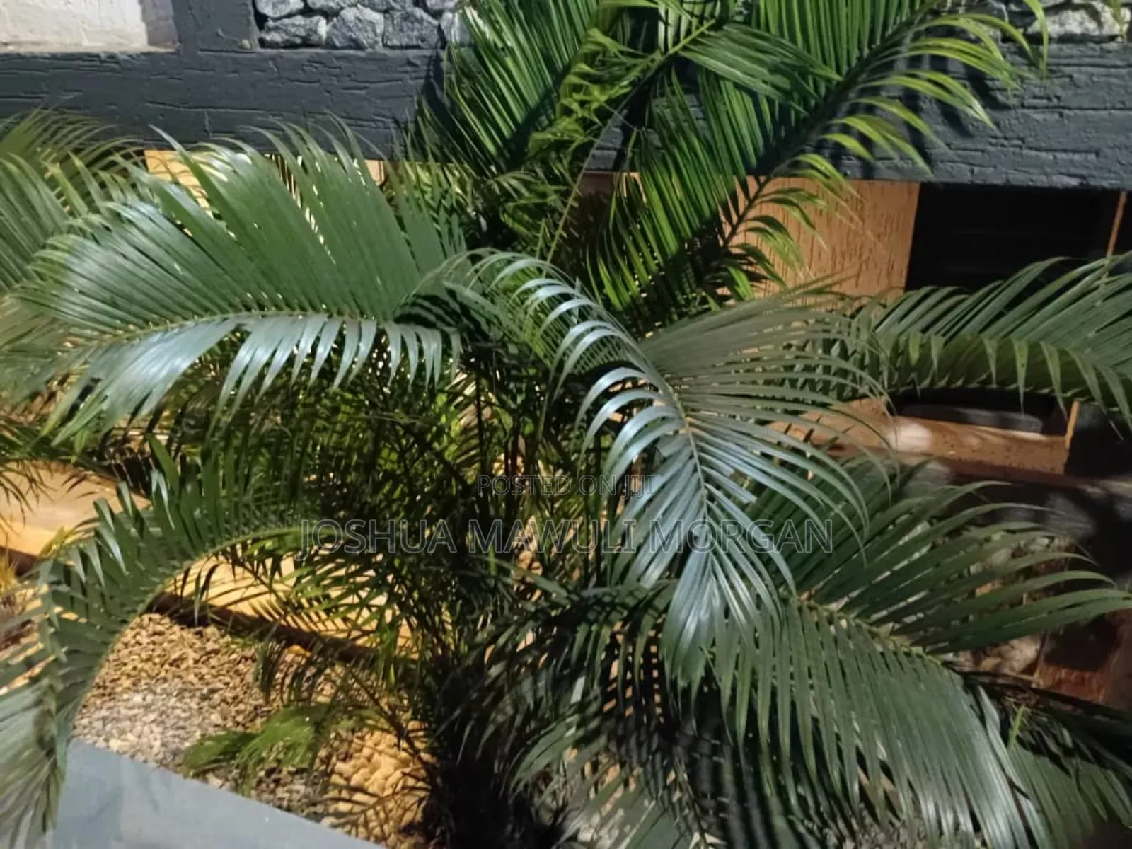 Landscaping Design, Lawn Pavement Mowing, Lawn Maintenance Re-Do