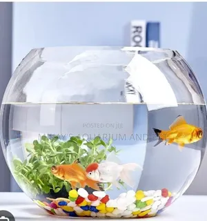 Packaged Aquarium