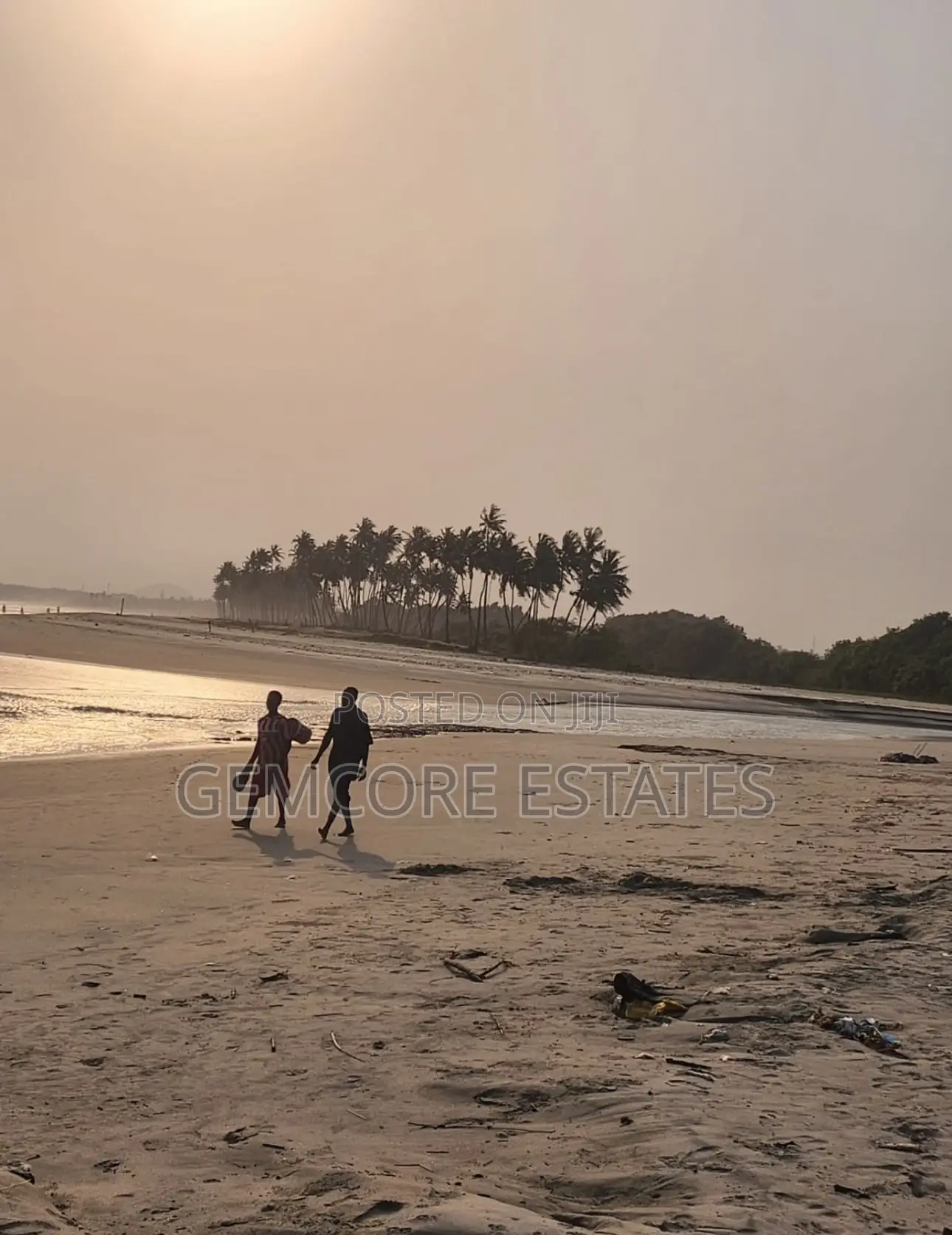 Prime Seaside Plots in Ada Foah for Sale