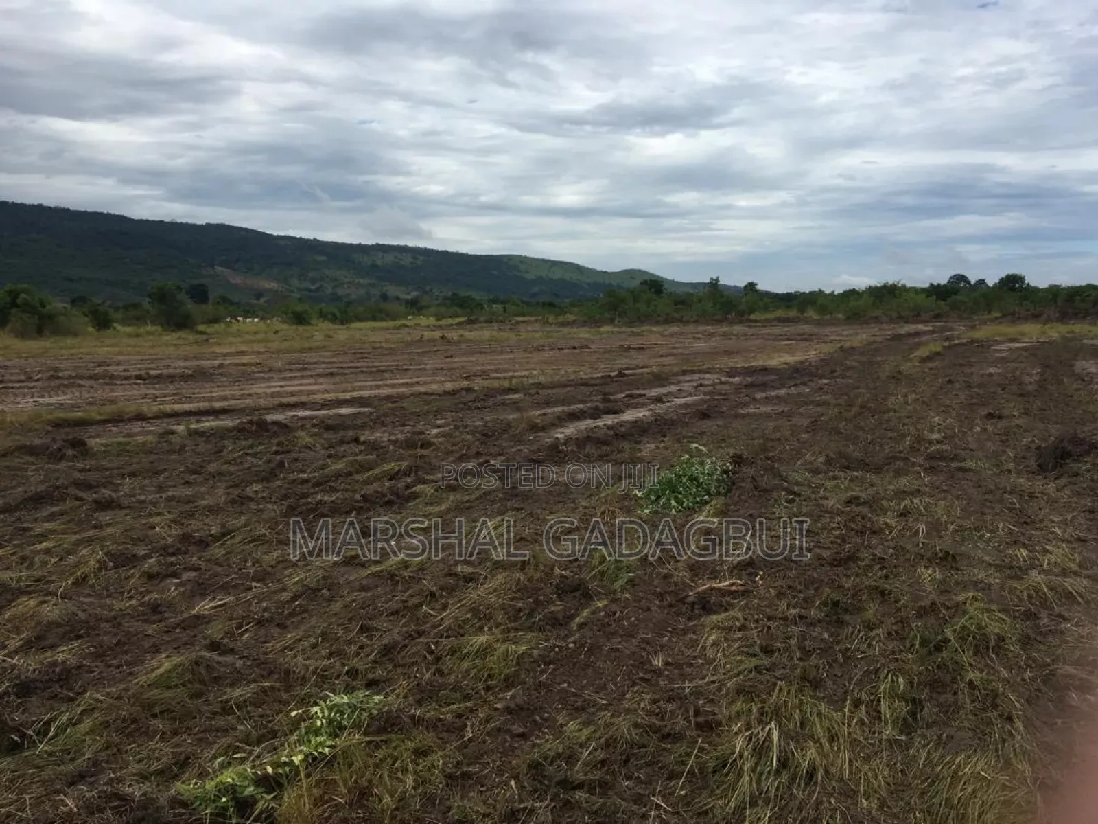 4 Acres Titled Land at Ayikuma (Mountain View)