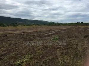 4 Acres Titled Land at Ayikuma (Mountain View)
