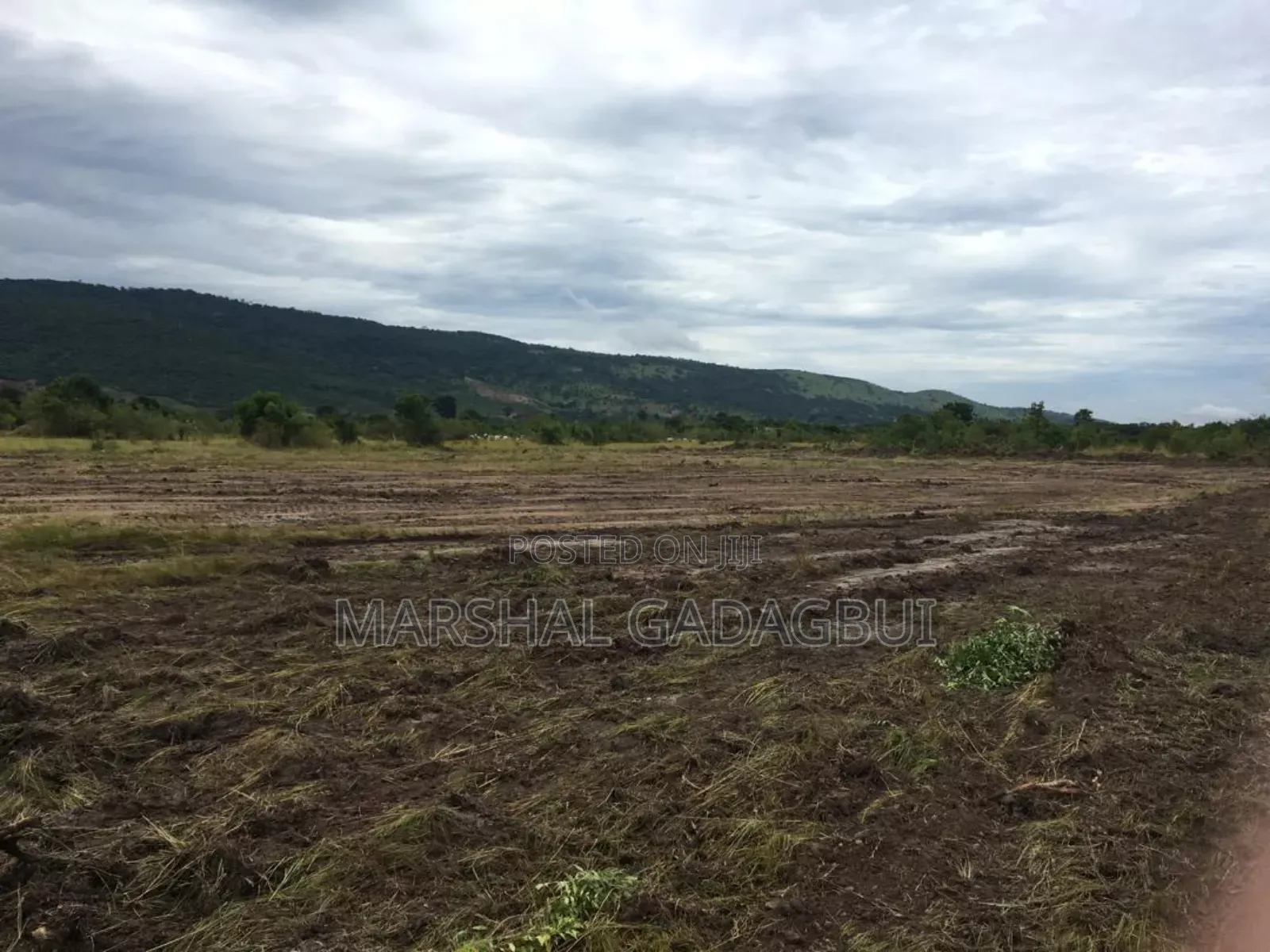 4 Acres Titled Land at Ayikuma (Mountain View)