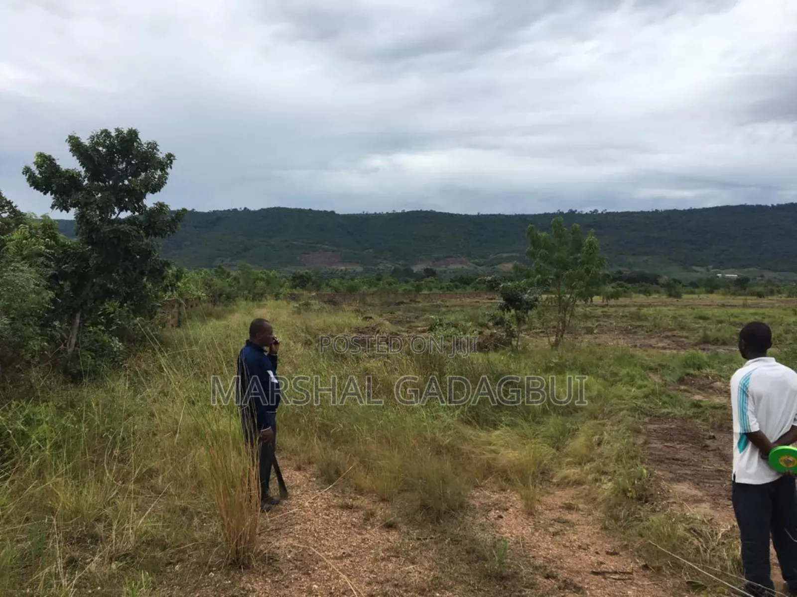 4 Acres Titled Land at Ayikuma (Mountain View)