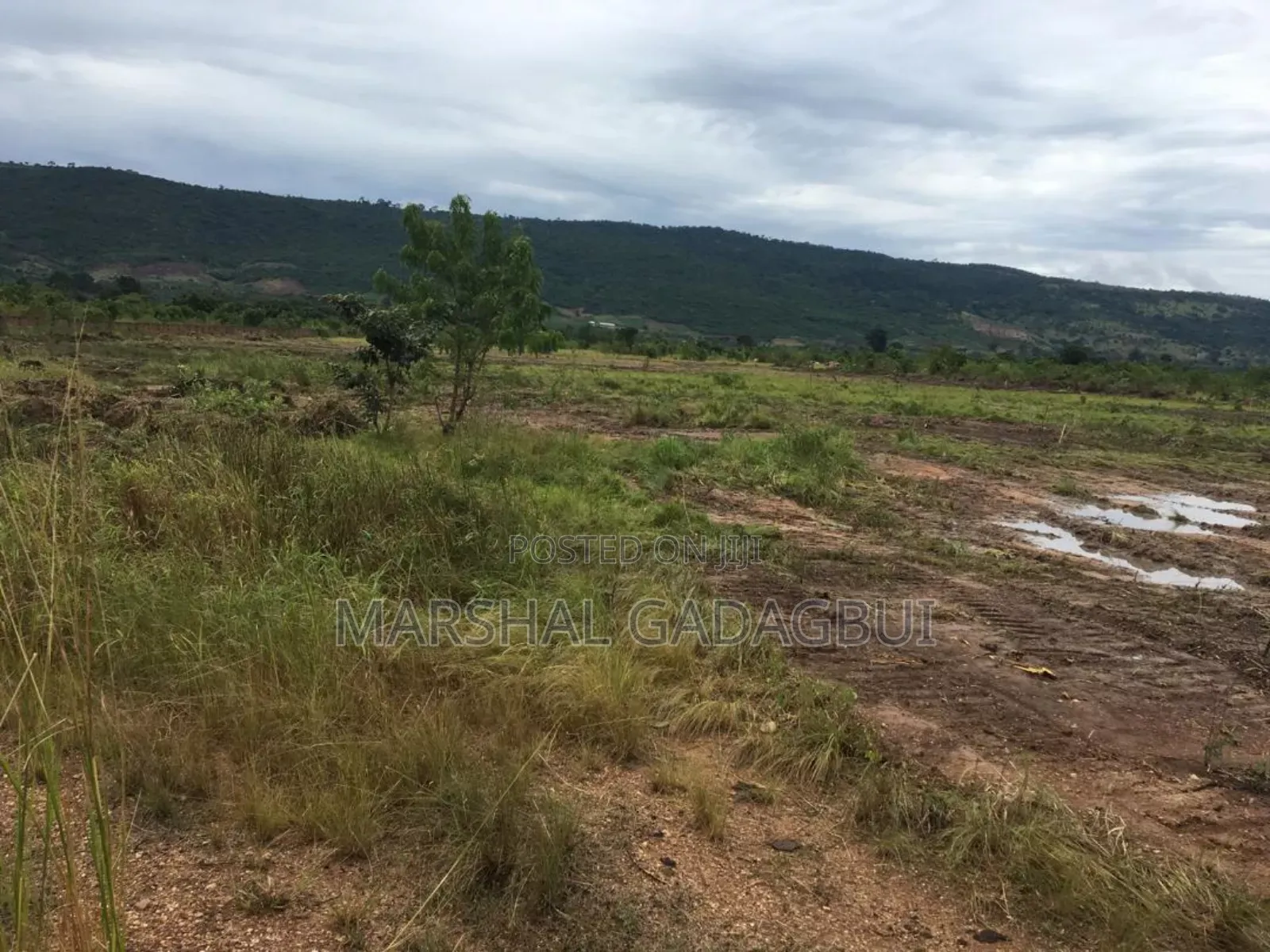 4 Acres Titled Land at Ayikuma (Mountain View)
