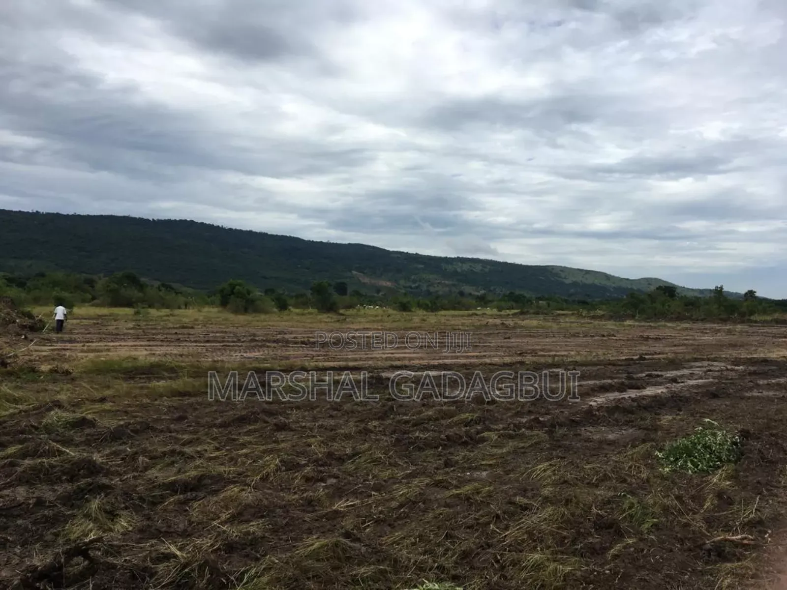 4 Acres Titled Land at Ayikuma (Mountain View)