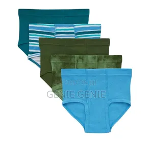 Hanes Ultimate 100% Organic Cotton Briefs for Boys