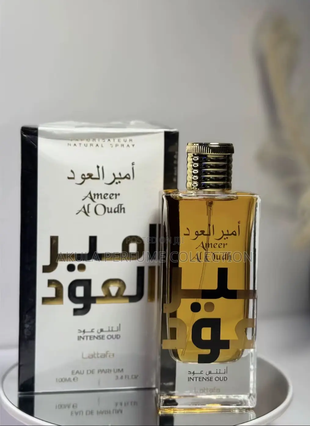 Ameer Al Oudh