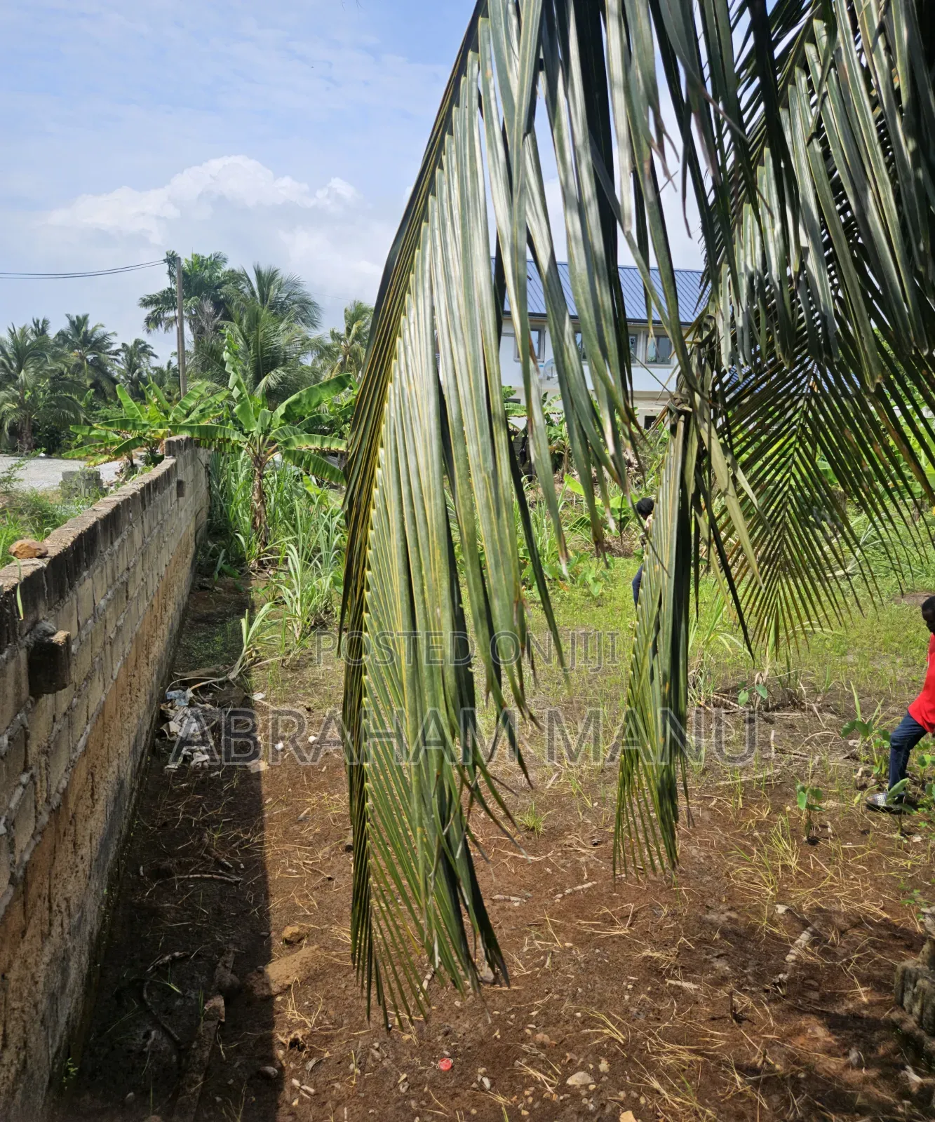 Land for Sale