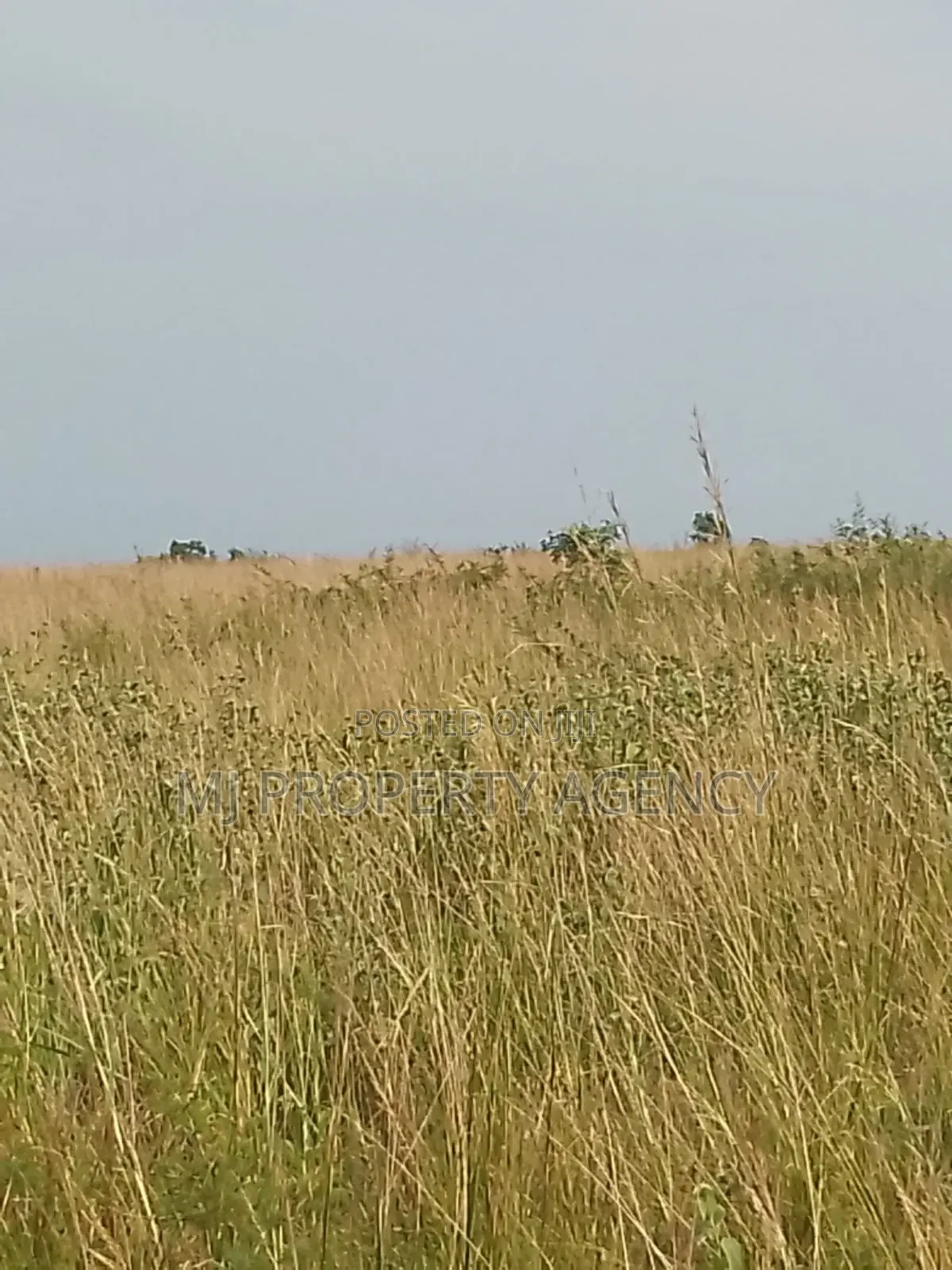 13 Acres Roadside Industrial Plot Prampram