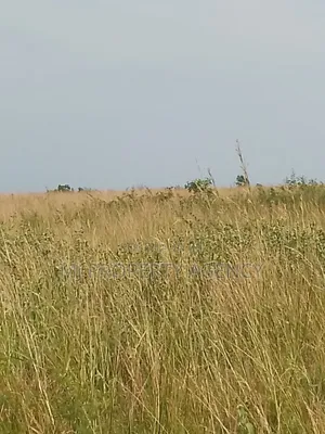 13 Acres Roadside Industrial Plot Prampram