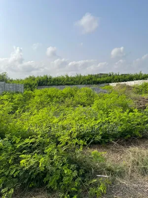 One Plot in a Gated Community at Community 24