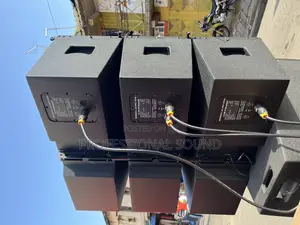 Heavy Pro Audio Professional Line Array Speaker System
