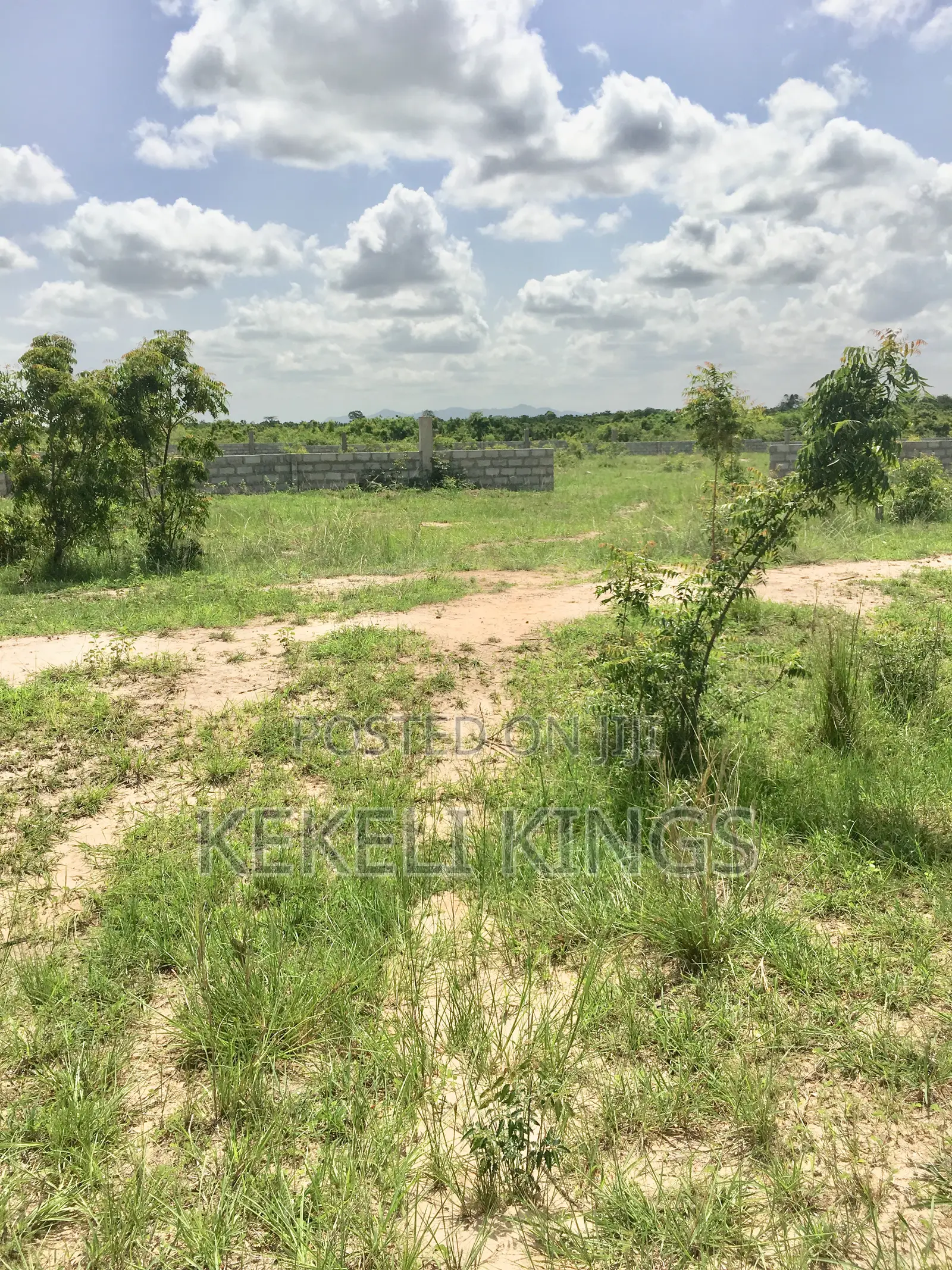 Afienya-Estate Lands: Selling at an Affordable Price