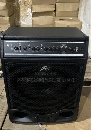 Peavey Max Series Bass Combo Amplifier.