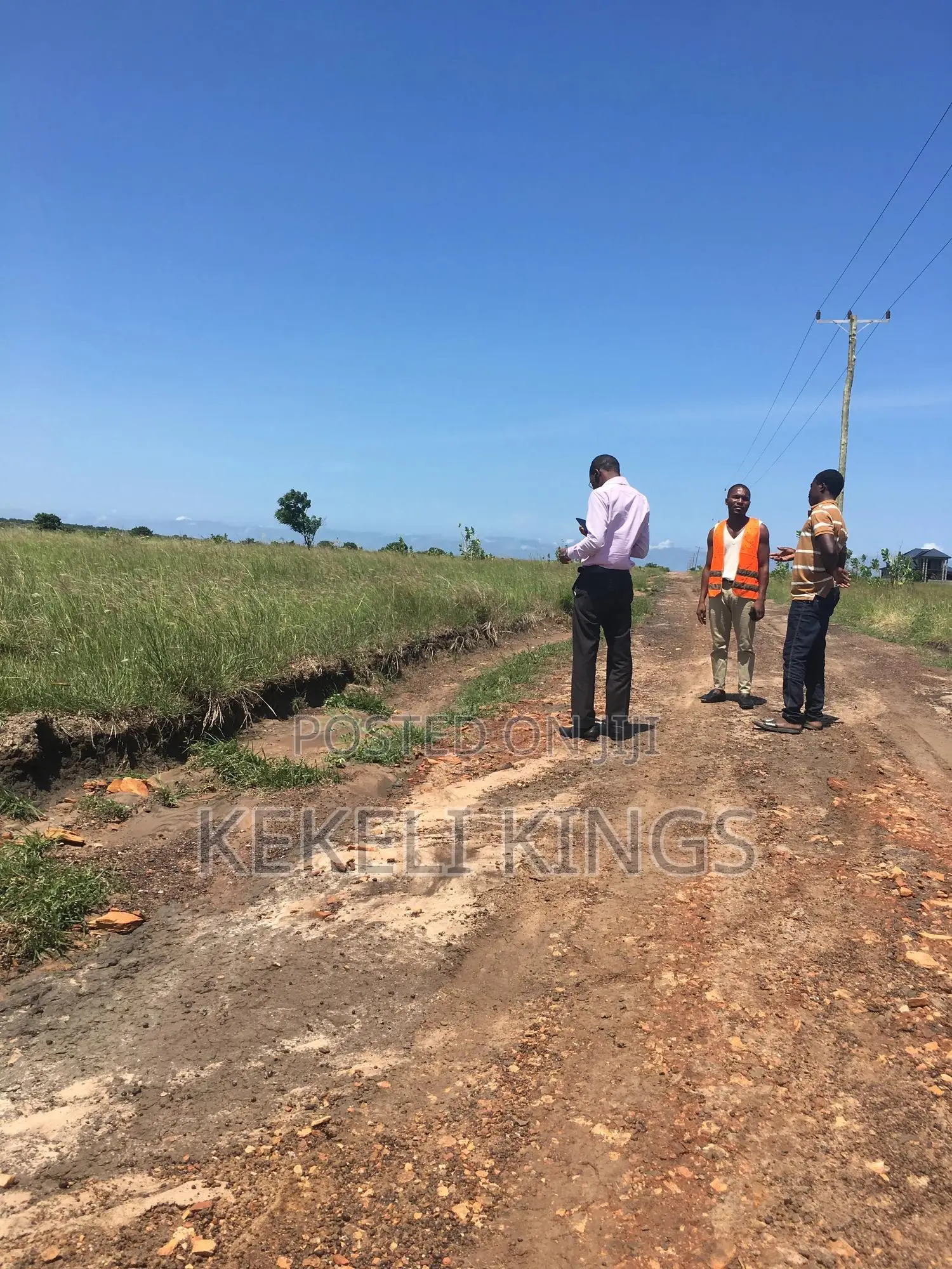 Afienya-Estate Lands: Selling at an Affordable Price