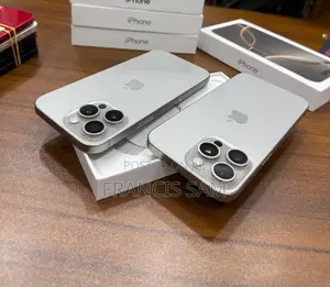 Apple iPhone 15 Pro Max 256 GB Silver