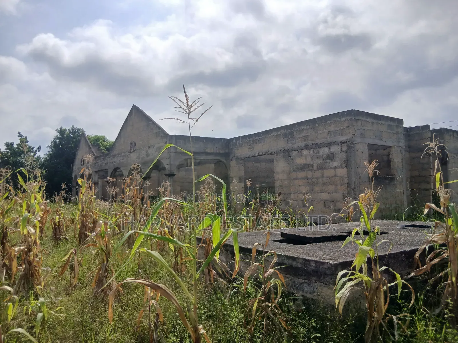 6bdrm House in Tech Appiadu Knust, Kumasi Metropolitan for sale
