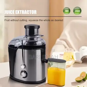 Raf Electric Fruit Juicer
