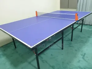 Double Fish Table Tennis ( Pingpong) Board Nonwheeled Foldable