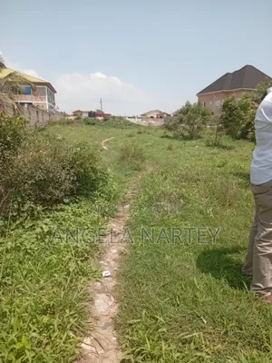 One and Half Plot at Shiashie
