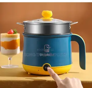 Portable/Mini Electric Cooker