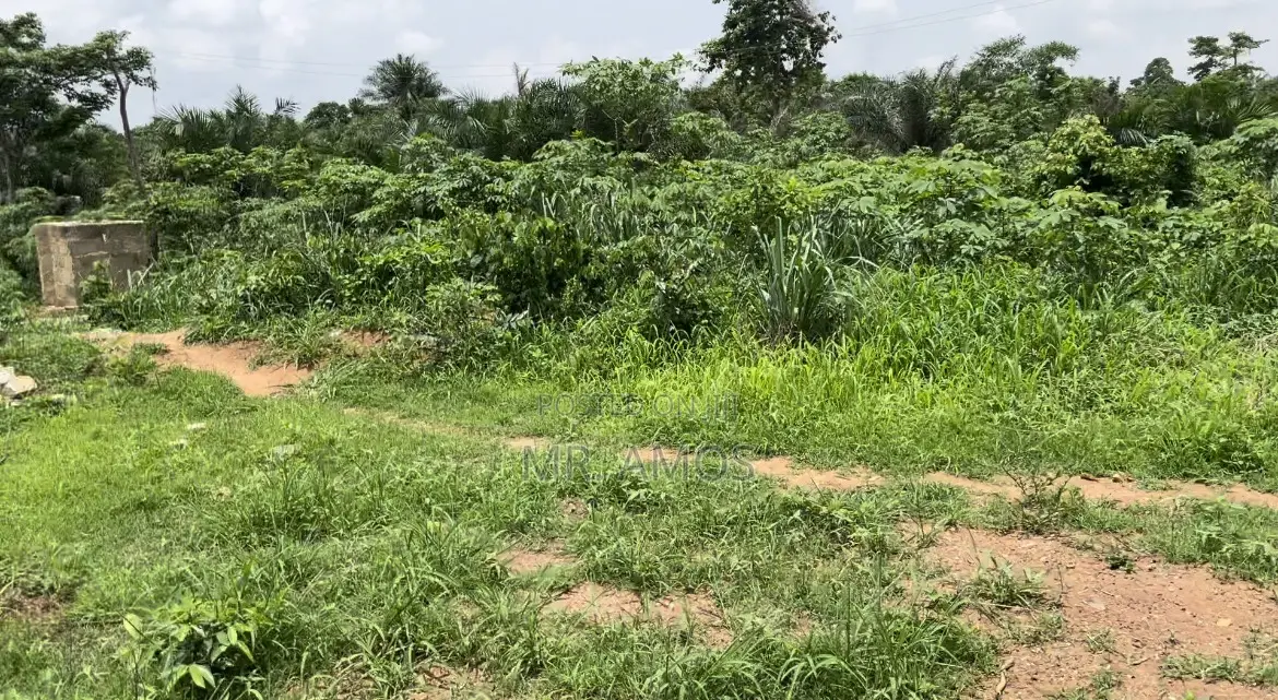 Registered Plots of Land at Afienya Shai Hills(70x100)