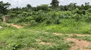 Registered Plots of Land at Afienya Shai Hills(70x100)