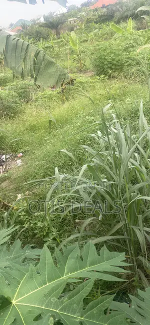 Grace Land Farms