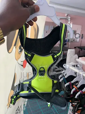 Dog Harness
