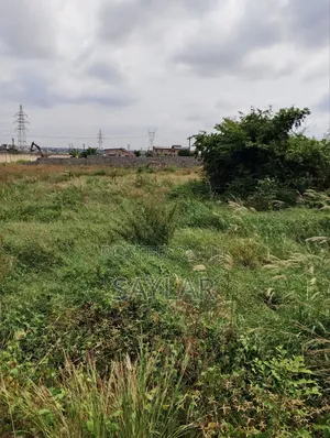 Full Plots for Sale at Comm24 Well Paved Roads Area