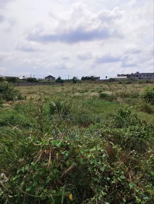 Full Plots for Sale at Comm24 Well Paved Roads Area
