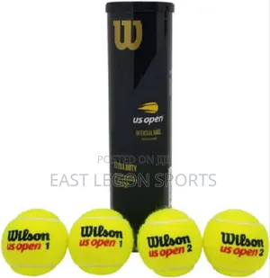 Wilson Lawn Tennis Balls Extra Duty