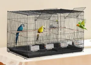 Metallic Bird Cage