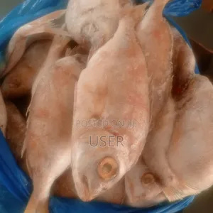 Red Fish 10kg Box